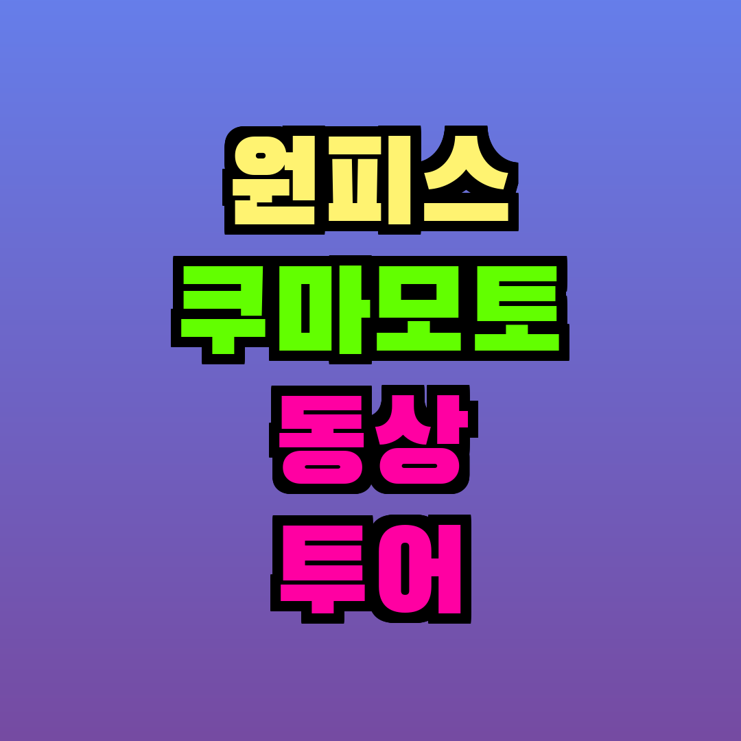 원피스 쿠마모토 동상 투어