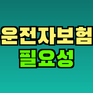 운전자보험 필요성 총정리 – 자동차보험과 무엇이 다를까